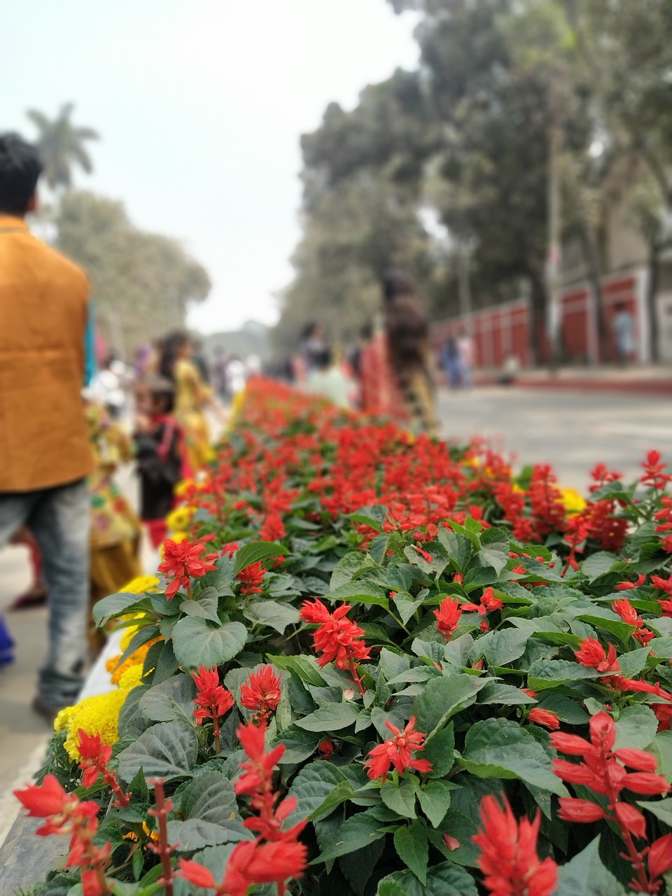 découvrez l'aventure ultime avec un campervan ! profitez de la liberté de la route tout en explorant des paysages à couper le souffle. que vous planifiez un road trip en famille ou une escapade romantique, nos campervans sont équipés pour rendre votre voyage inoubliable. réservez dès maintenant et partez à l'aventure !